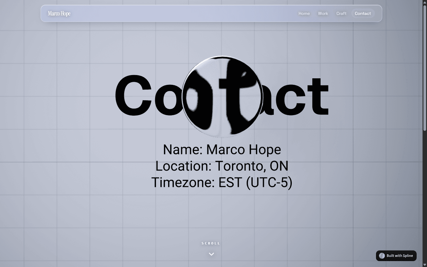 This Portfolio — view 4 of 4