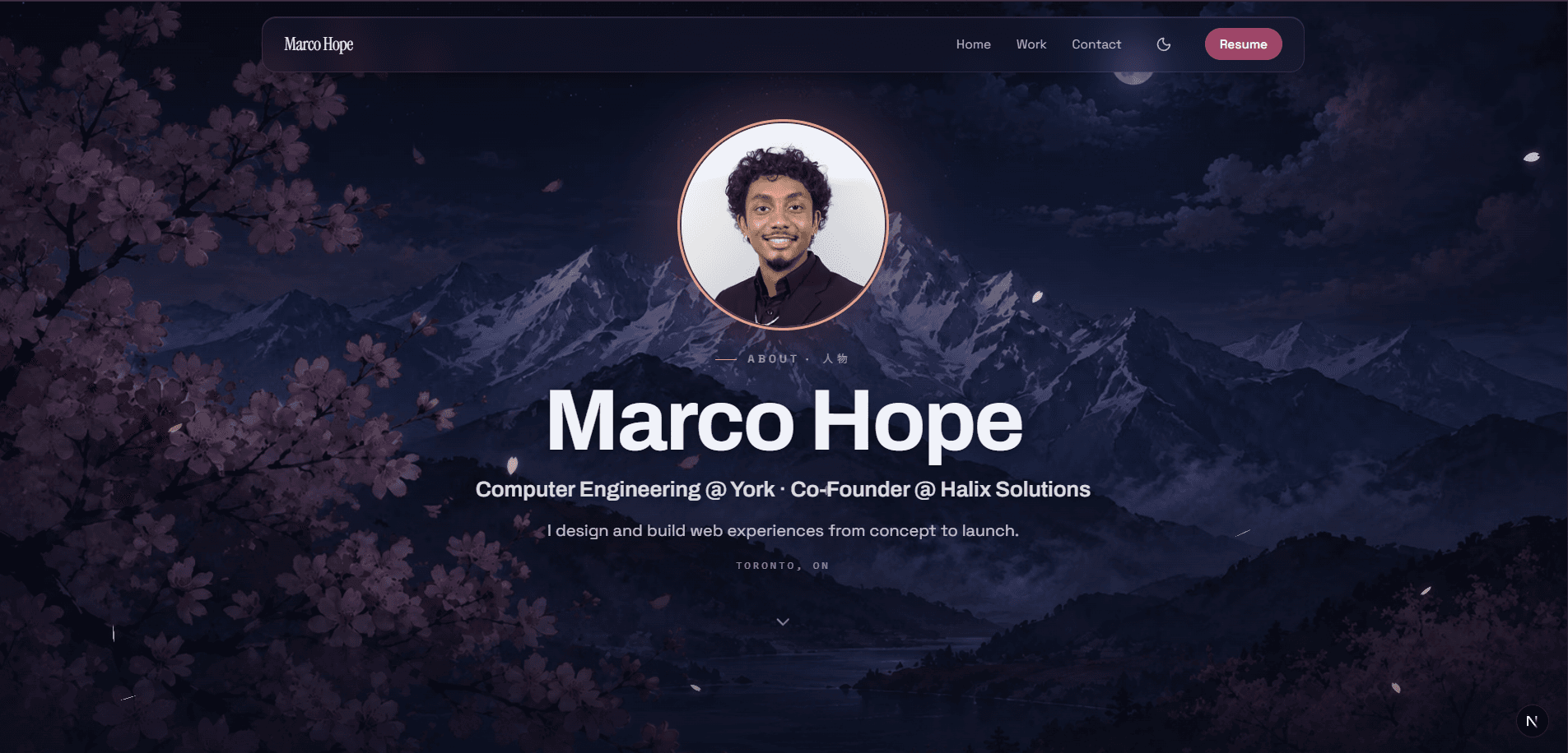 This Portfolio — Portfolio Site